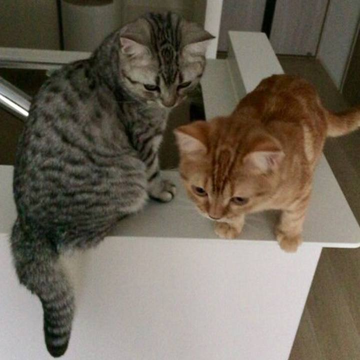 A4c5c303 bbfb 4950 9974 03cf325eb8f4