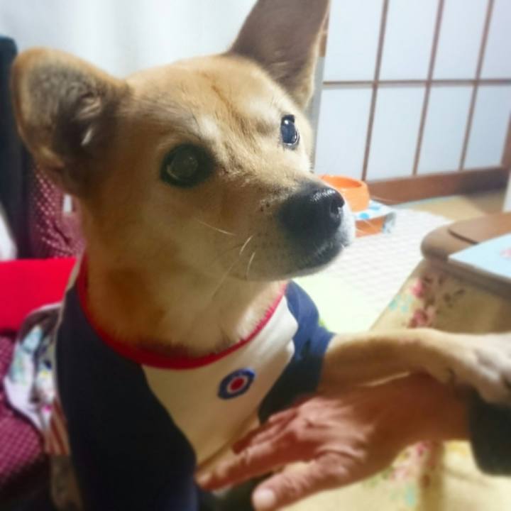 A4c5e6d7 a25d 4169 97ca 25566bf46ef0