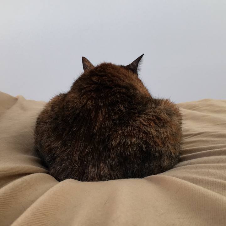 A4c7b373 0463 4595 bc0e e8a3d67c26d2