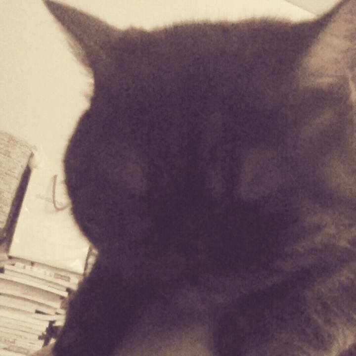 A4c84f88 b7d3 416f a388 1c17d9a8638c