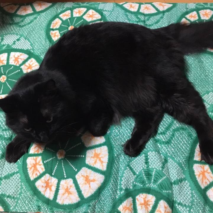 A4c8bd3a a57b 42af 98f0 c5b2a151b9e4