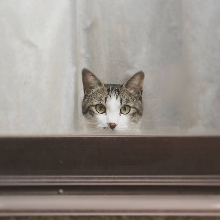 A4c8d263 ca80 45bb b067 3bfab9c48d66