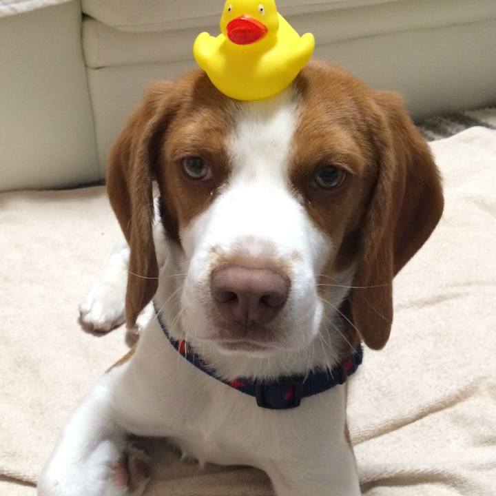 A4c90f57 be72 48a3 b94b 1590cf00ee2d