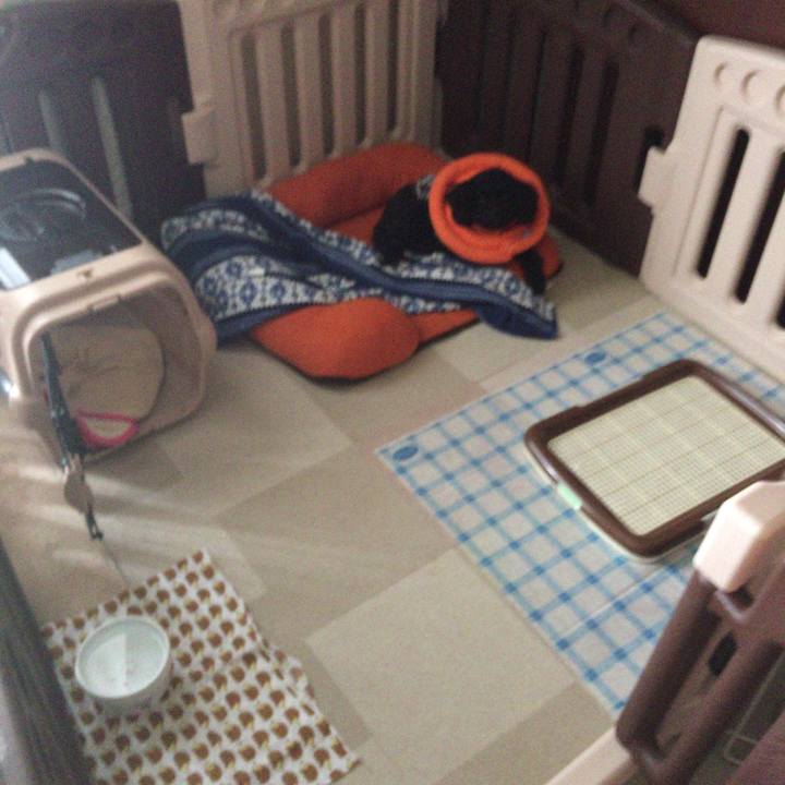 A4c9e2c7 676e 4784 a9aa 8a739996a860