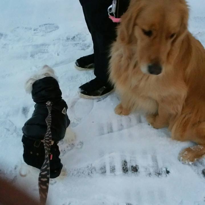 A4ca17aa b9b7 4a73 ba47 42d571e717d5