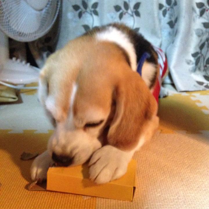 A4ca4001 6276 4816 a890 240622d29dd4