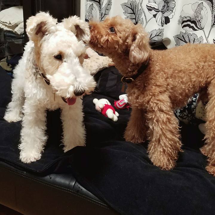 A4ca5f23 b40c 4b5a a7d7 26f7c465ab26