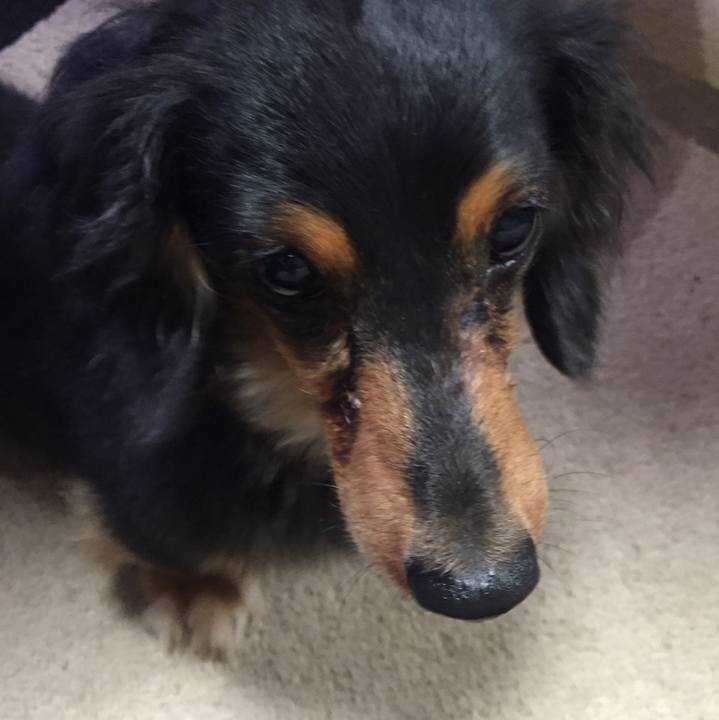 A4ca7b18 5155 4e9b a856 7d5aac554486