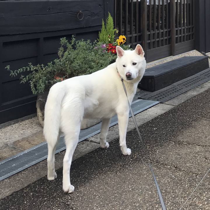 A4cb9ea6 a14c 4c4d b318 be000b159b13