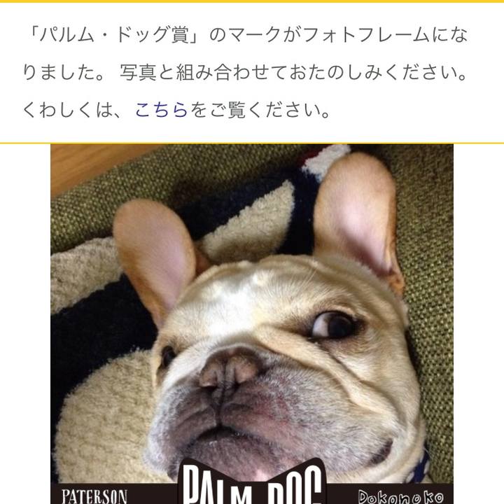 A4cc4220 5bc5 42cf a336 852a7f478bb5