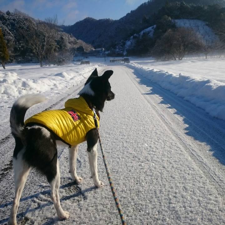 A4cd8fe5 2709 40ec b3a4 93e233effd68