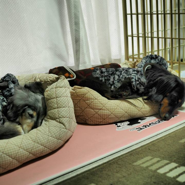 A4ce270d bd13 4ca1 8230 39b7a70093c9