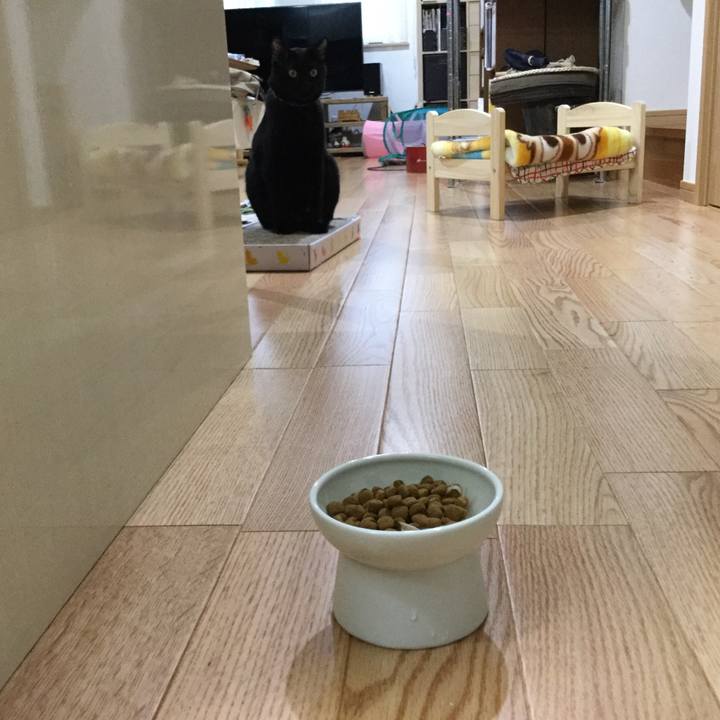 A4ce5288 9e8f 42dc b96f f70800d954d2