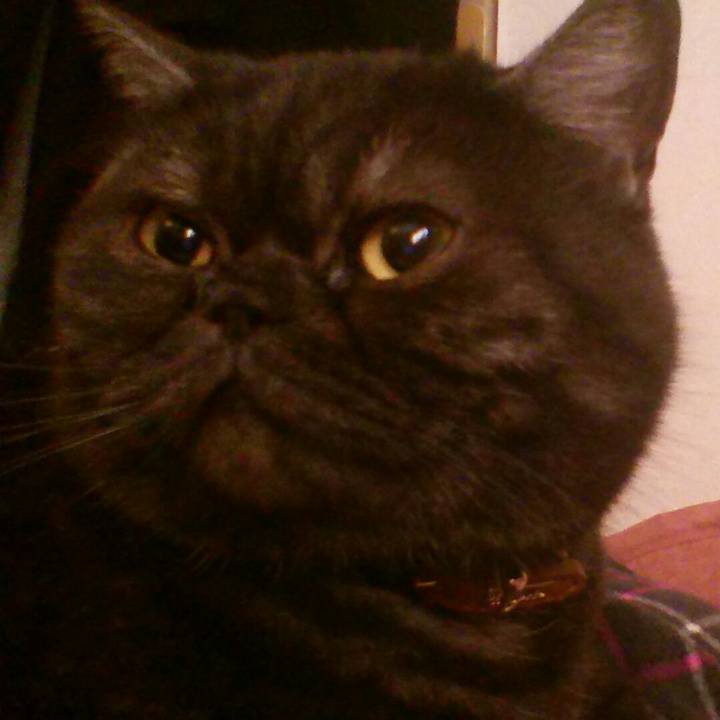 A4cf5e6a 0940 4c64 98cc 214157bcb8a2