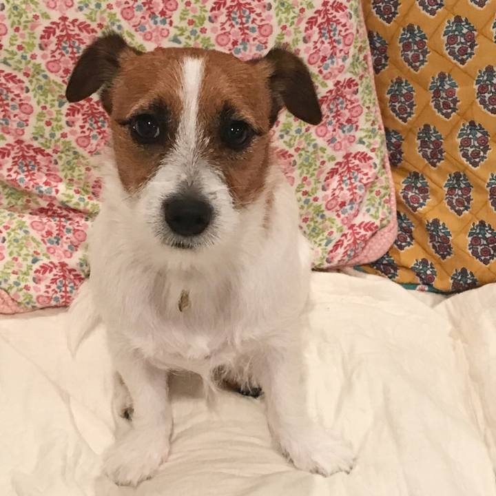 A4cf90d2 2865 4ff9 834c 3277b2e87acb