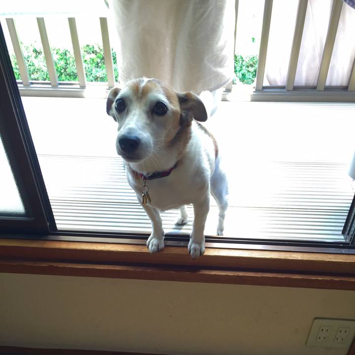 A4d04bf7 9870 4e05 bfa4 348e95cb6cbe