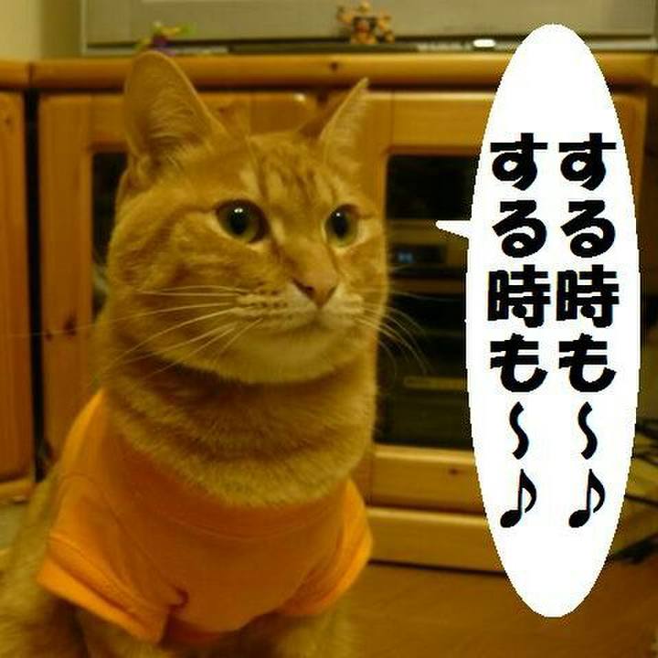 A4d16b79 56c2 4e74 b775 c512fcbe1d89