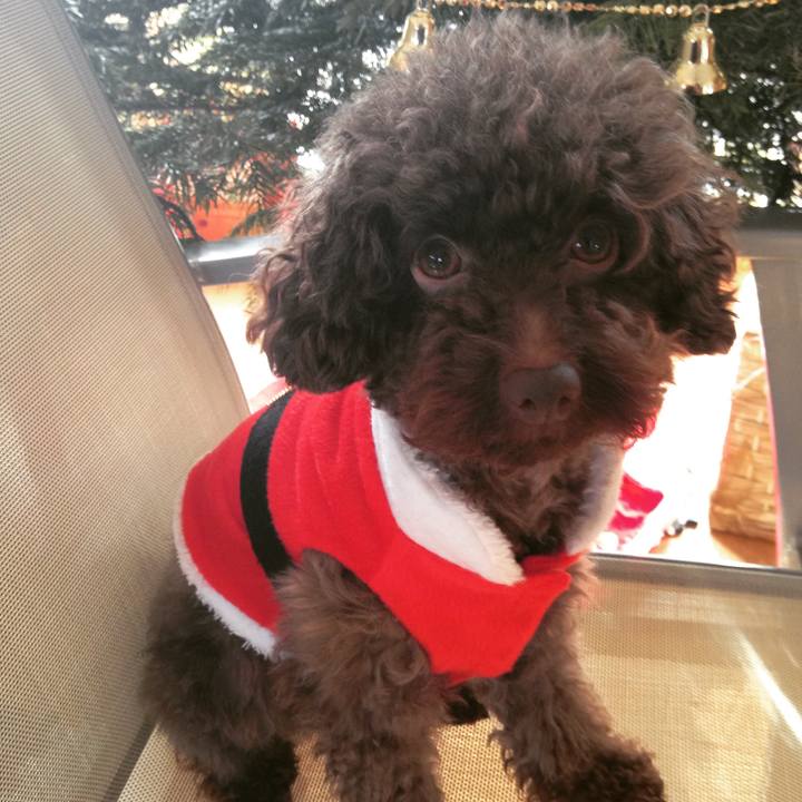 A4d229c2 50a7 4154 a729 9fdf3523da68