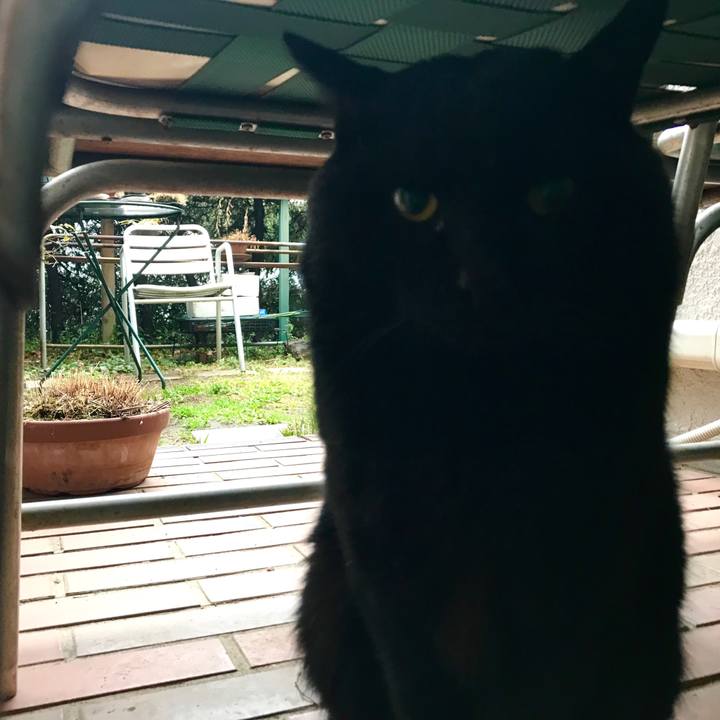 A4d354fd af6b 47ea b43e 7e25fa9b9065