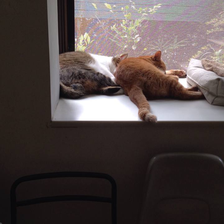 A4d382c8 f699 49ec a400 19cb3c23d13b