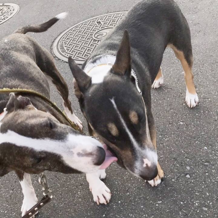 A4d3d645 ebcf 4f90 aa27 65d0eaedc78b