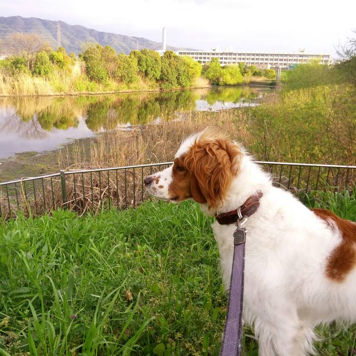 A4d4937c 09a7 418a 81b2 b60657b39e38