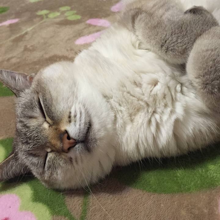 A4d4a924 12d8 4a8f 88d3 17a523dd3dea