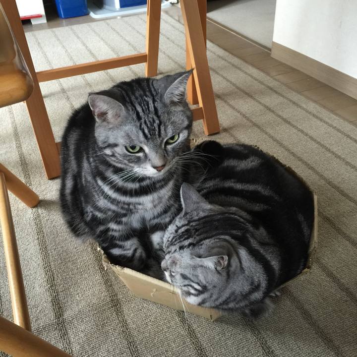 A4d5fc90 84e3 4c56 aa53 2e0cc45d0ef0