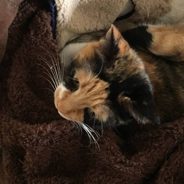 A4d66617 b295 45d7 877a ae619014d074