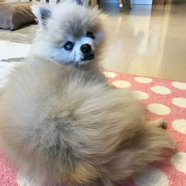 A4d66ff4 4bd2 45c2 8320 1701a3fd9b6f