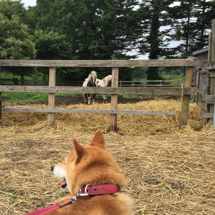 A4d67aa2 1757 4b12 8383 29e5b2a6575a