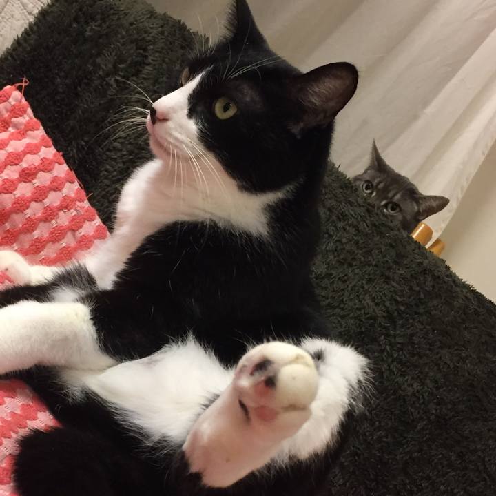 A4d762b7 f7fe 4536 a269 44a1a367aa38