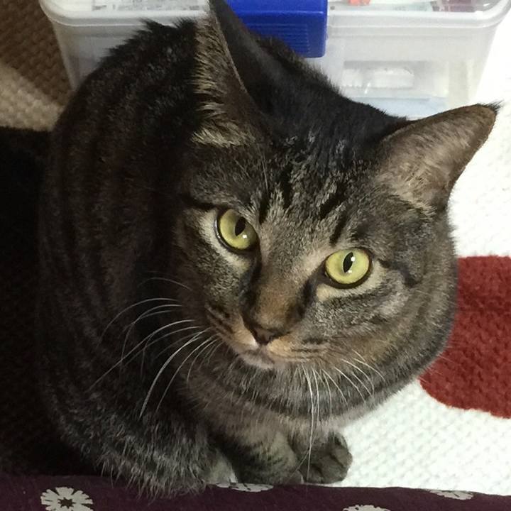 A4d7cc2e a392 4a59 89a4 02618ec8c0ee