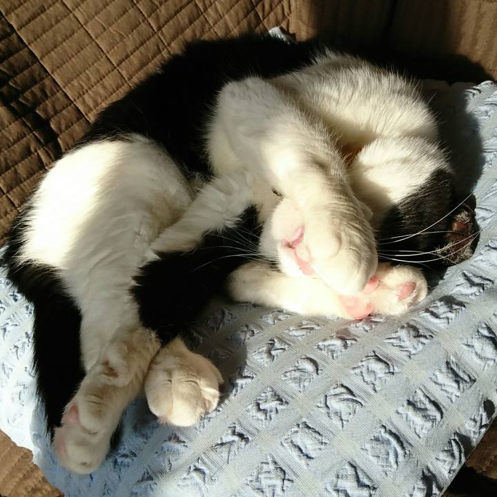 A4d7ee35 2b2d 4dae a4a5 42d51fc2b8b1