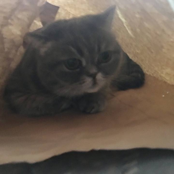 A4d8210a ed21 41e9 9b70 6aa8935bcd09