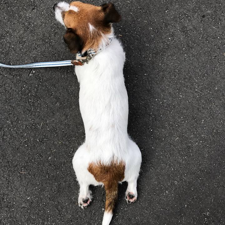 A4d83f40 7762 4d59 a0b6 4fbbe8eb2070