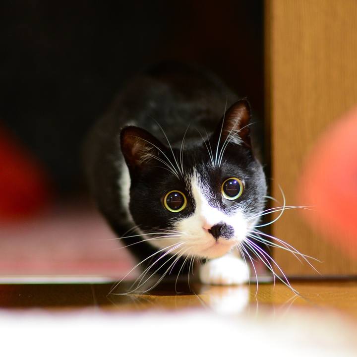 A4d92dd5 7970 4932 8d46 bfaa3cdc2444