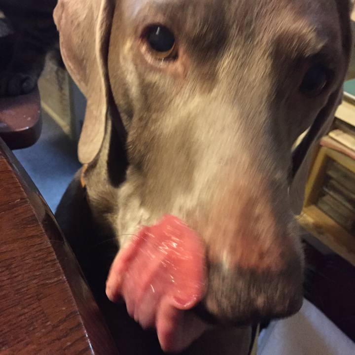 A4da0905 b7b2 4007 b039 1ce4d604f800