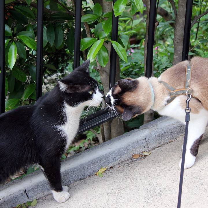 A4da1290 fec0 437a a018 a6ae9d9b5845