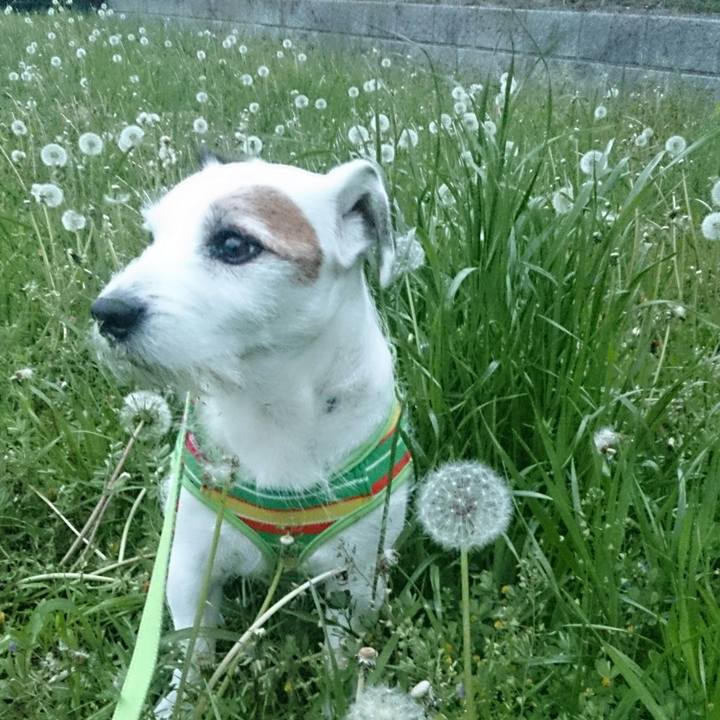 A4da18e1 382f 4247 9280 98de90d40756