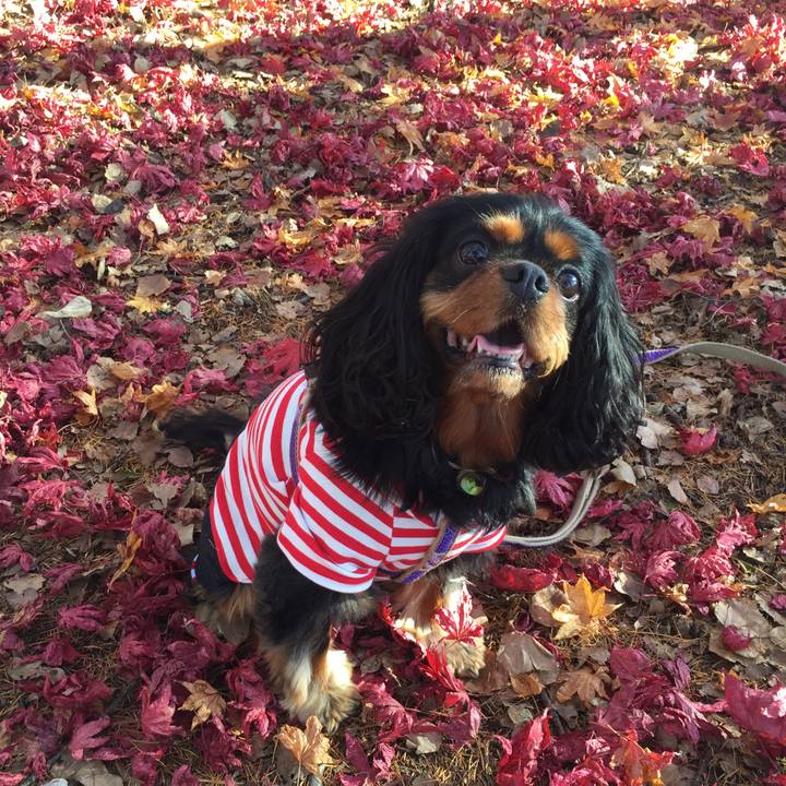 A4da20b7 8b3b 4c7b 8185 61fa5b4b8bb7