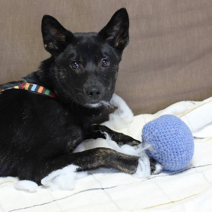 A4da2569 3974 4bd6 9778 40b0c5fe3f09