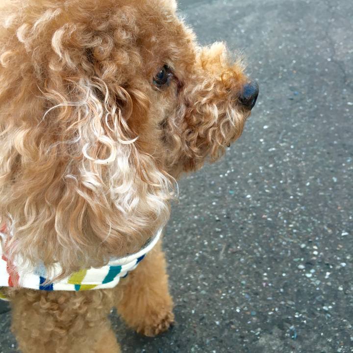 A4daf1e3 79aa 43f8 bcd7 caea3a7ddc90