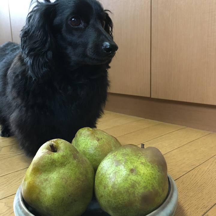 A4dc5ded b551 41e6 8bc3 ed002ddcaa27