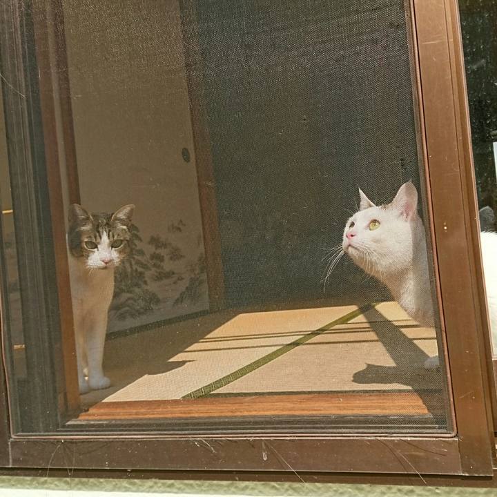 A4dc9272 4d92 41aa 9dd2 ad07f18c89df