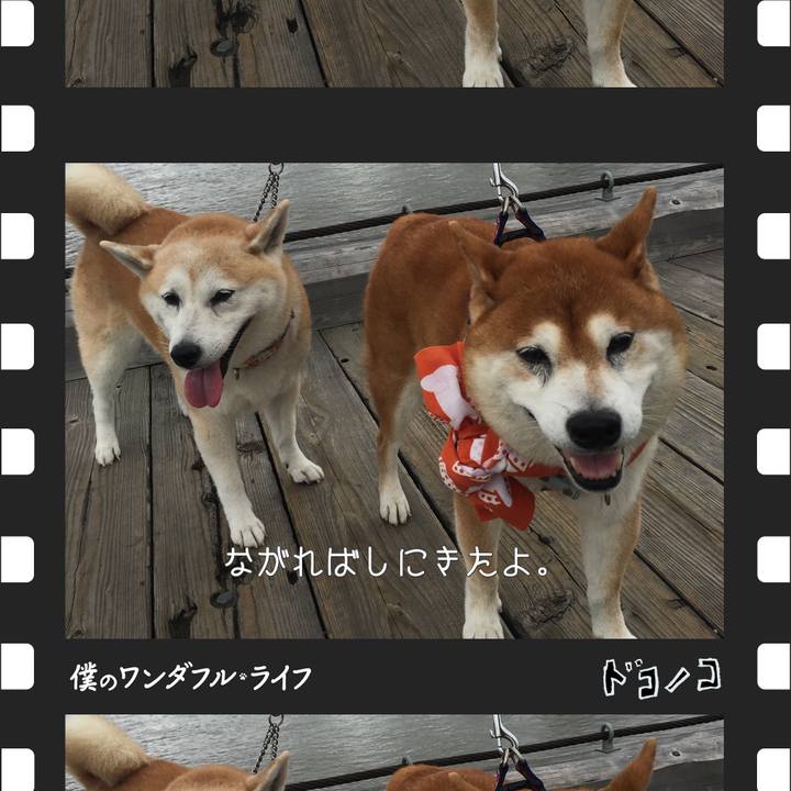 A4dd09dd 9193 4a78 b1d2 cb9f018e03fa