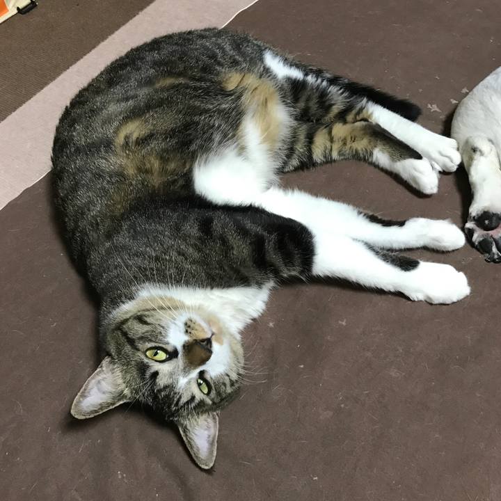 A4dd46de be5b 4092 8854 e9644227a317