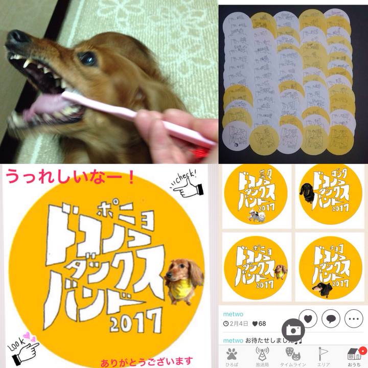 A4ddea8e 4fd8 41d8 a717 308738bd5781