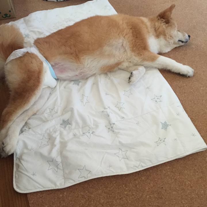 A4ddff6f adeb 4413 a23b 87135d16574e