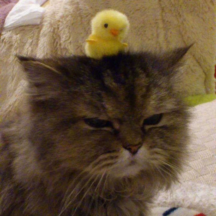 A4dee635 c293 442b 846d 1cc6aac1277c